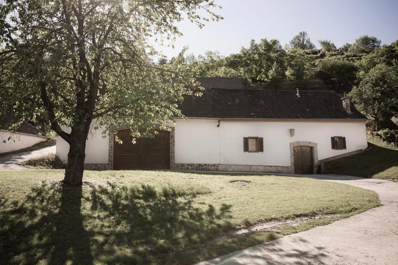Ferienwohnung Am Weingut Eisenbock Штрасс Экстерьер фото