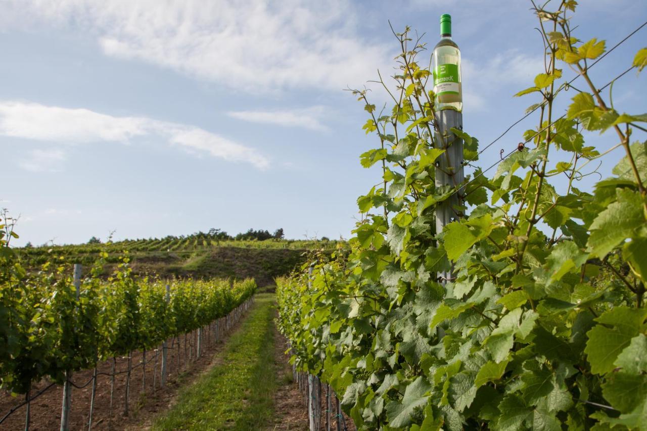 Ferienwohnung Am Weingut Eisenbock Штрасс Экстерьер фото