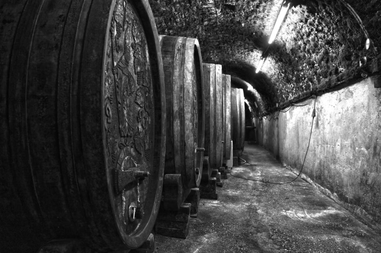 Ferienwohnung Am Weingut Eisenbock Штрасс Экстерьер фото